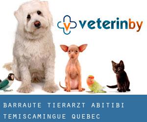 Barraute tierarzt (Abitibi-Témiscamingue, Quebec)
