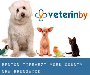Benton tierarzt (York County, New Brunswick)
