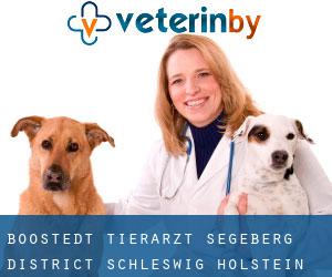 Boostedt tierarzt (Segeberg District, Schleswig-Holstein)