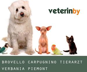 Brovello-Carpugnino tierarzt (Verbania, Piemont)