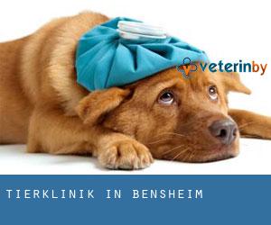 Tierklinik in Bensheim