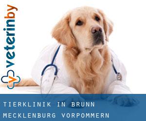 Tierklinik in Brunn (Mecklenburg-Vorpommern)