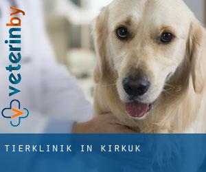 Tierklinik in Kirkuk