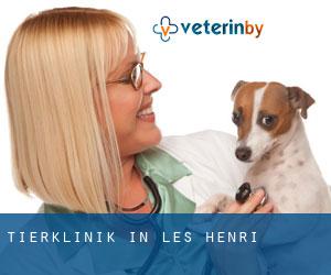 Tierklinik in Les Henri
