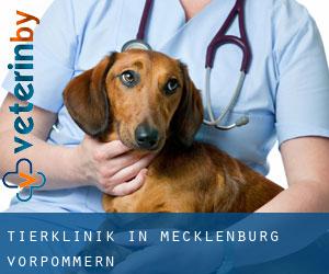 Tierklinik in Mecklenburg-Vorpommern