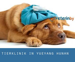 Tierklinik in Yueyang (Hunan)
