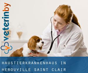 Haustierkrankenhaus in Hérouville-Saint-Clair
