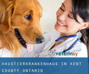 Haustierkrankenhaus in Kent County (Ontario)
