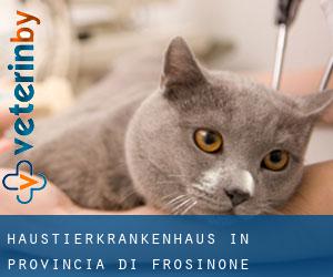 Haustierkrankenhaus in Provincia di Frosinone