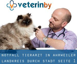 Notfall Tierarzt in Ahrweiler Landkreis durch stadt - Seite 1