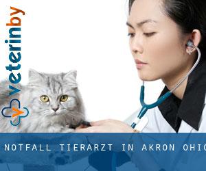 Notfall Tierarzt in Akron (Ohio)