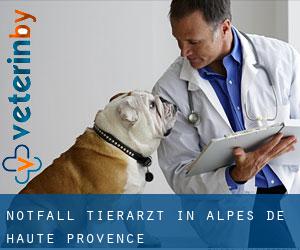 Notfall Tierarzt in Alpes-de-Haute-Provence