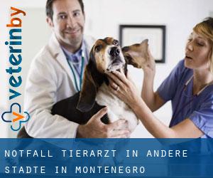 Notfall Tierarzt in Andere Städte in Montenegro