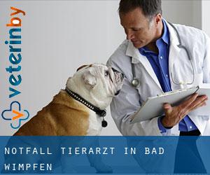 Notfall Tierarzt in Bad Wimpfen