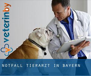 Notfall Tierarzt in Bayern