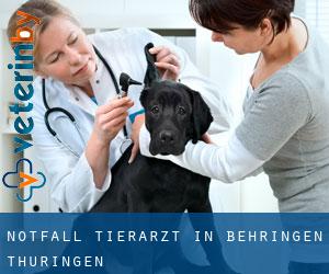 Notfall Tierarzt in Behringen (Thüringen)