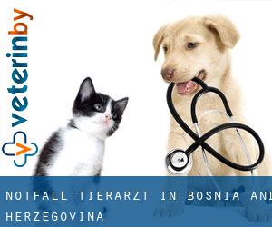Notfall Tierarzt in Bosnia and Herzegovina