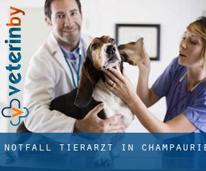 Notfall Tierarzt in Champaurie