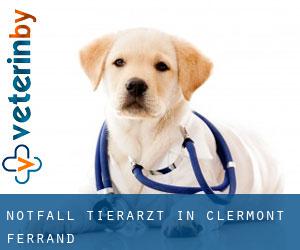 Notfall Tierarzt in Clermont-Ferrand