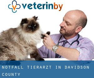 Notfall Tierarzt in Davidson County