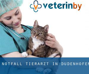 Notfall Tierarzt in Dudenhofen