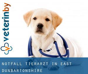 Notfall Tierarzt in East Dunbartonshire