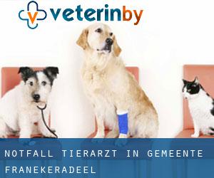 Notfall Tierarzt in Gemeente Franekeradeel