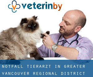 Notfall Tierarzt in Greater Vancouver Regional District