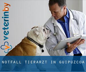 Notfall Tierarzt in Guipuzcoa