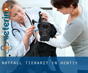 Notfall Tierarzt in Hentiy