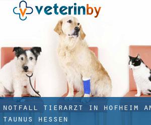 Notfall Tierarzt in Hofheim am Taunus (Hessen)