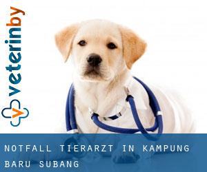 Notfall Tierarzt in Kampung Baru Subang