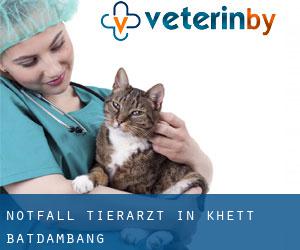 Notfall Tierarzt in Khétt Bătdâmbâng