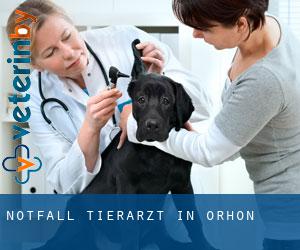 Notfall Tierarzt in Orhon