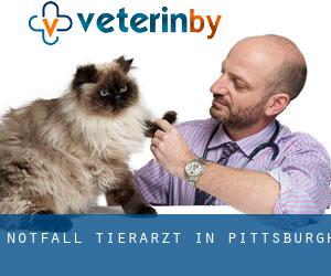 Notfall Tierarzt in Pittsburgh