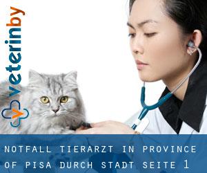 Notfall Tierarzt in Province of Pisa durch stadt - Seite 1