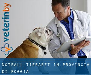 Notfall Tierarzt in Provincia di Foggia