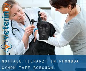 Notfall Tierarzt in Rhondda Cynon Taff (Borough)