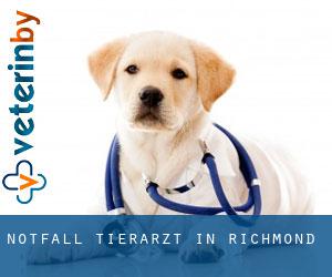 Notfall Tierarzt in Richmond