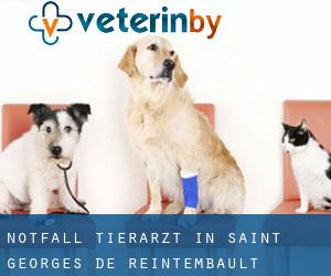 Notfall Tierarzt in Saint-Georges-de-Reintembault