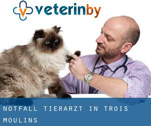 Notfall Tierarzt in Trois-Moulins