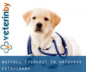 Notfall Tierarzt in Vatovavy Fitovinany