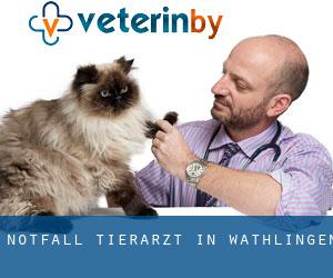 Notfall Tierarzt in Wathlingen