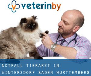 Notfall Tierarzt in Wintersdorf (Baden-Württemberg)