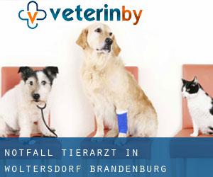 Notfall Tierarzt in Woltersdorf (Brandenburg)