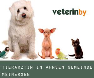 Tierärztin in Ahnsen (Gemeinde Meinersen)