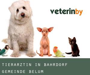 Tierärztin in Bahrdorf (Gemeinde Belum)