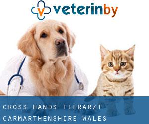 Cross Hands tierarzt (Carmarthenshire, Wales)