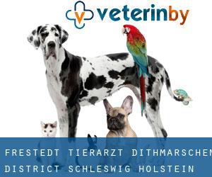Frestedt tierarzt (Dithmarschen District, Schleswig-Holstein)