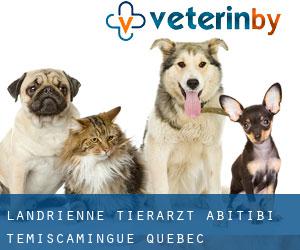 Landrienne tierarzt (Abitibi-Témiscamingue, Quebec)